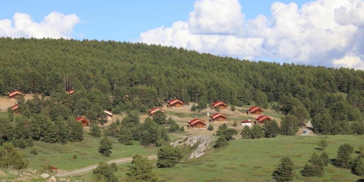 Erzincan’ın yeşil cenneti: Dumanlı Tabiat Parkı