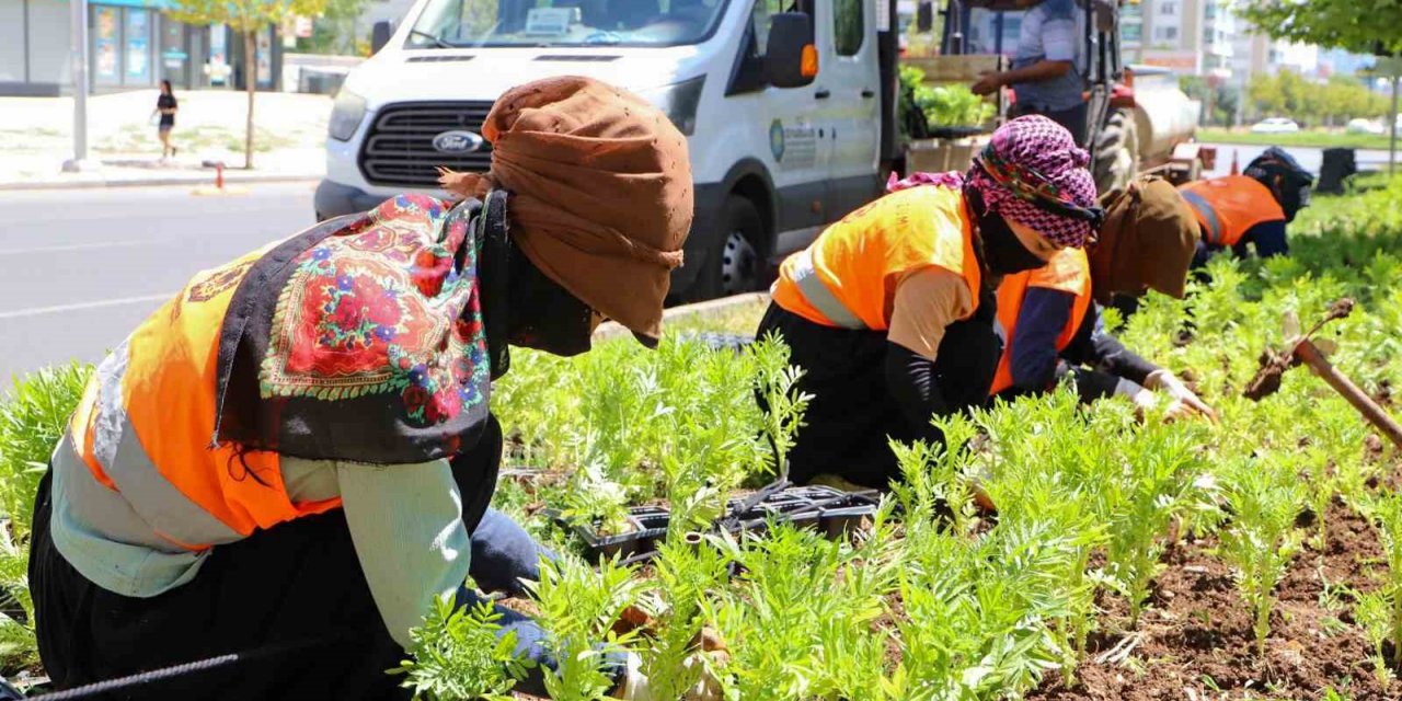 Diyarbakır’da 1 milyon 520 bin çiçek toprakla buluştu