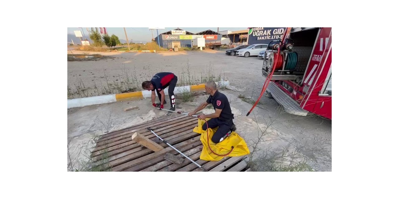 Mazgallara sıkışan kedileri itfaiye kurtardı