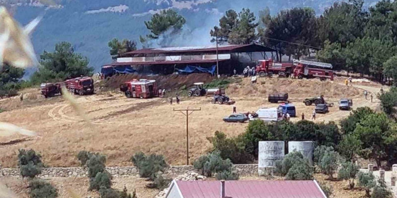 Ahır yangınında 2 büyükbaş hayvan telef oldu