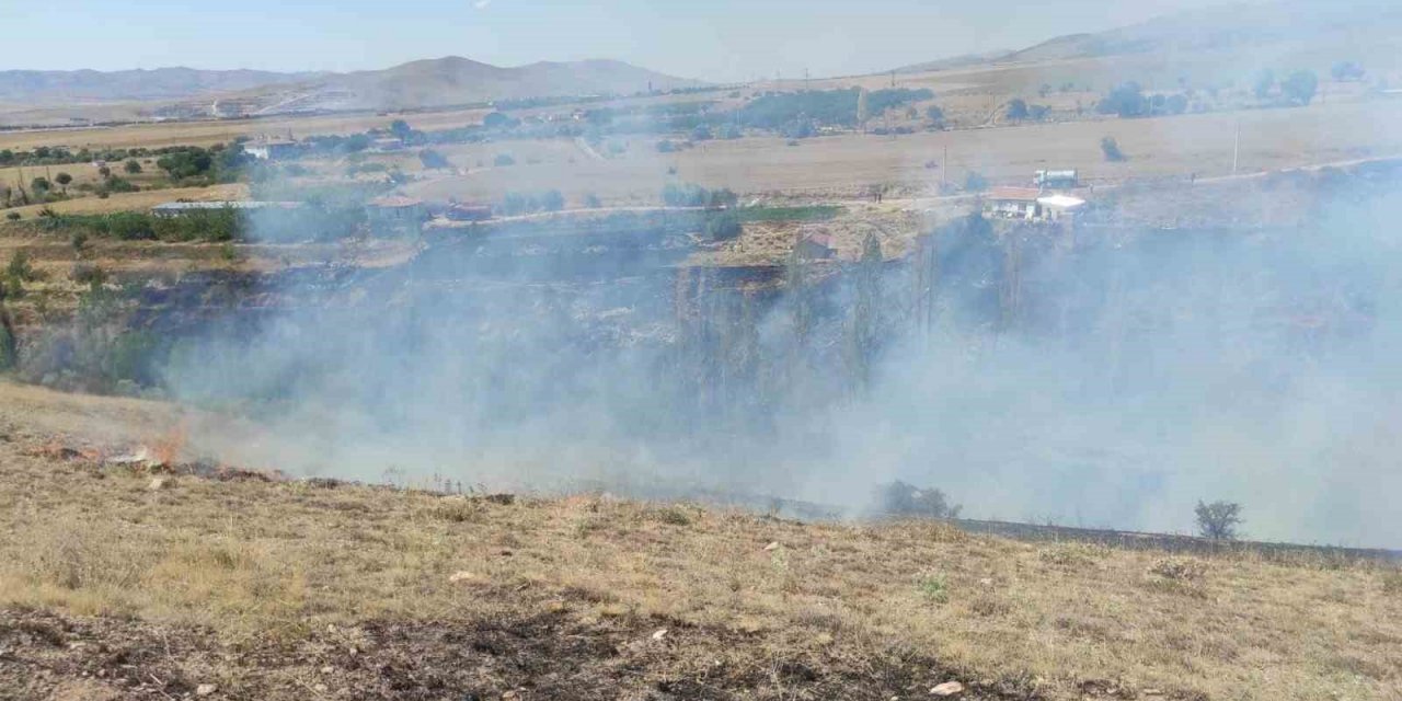 Arazi yangınında arılar telef oldu