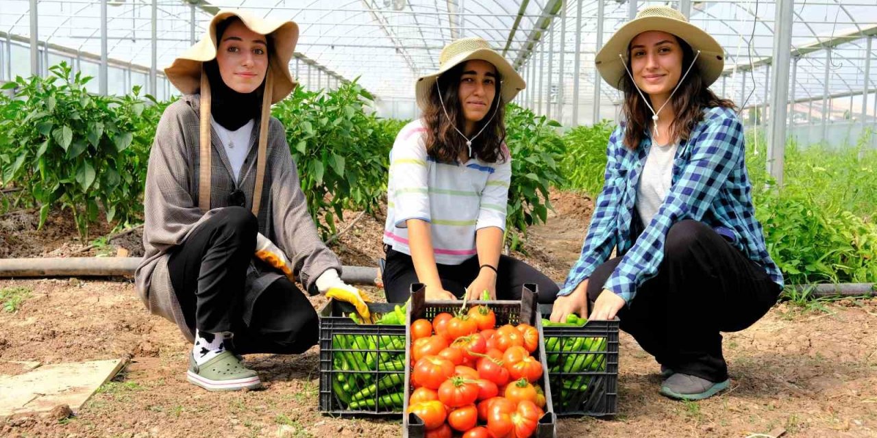 Akademik ürünlerin geliri öğrencilere burs oldu