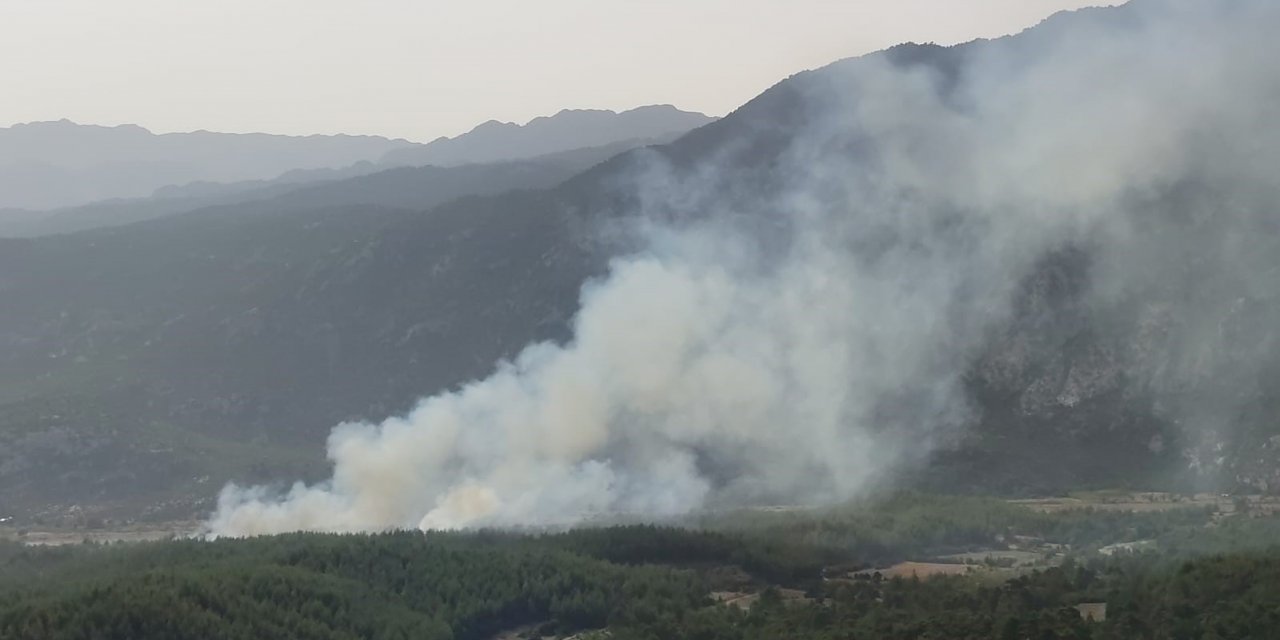 Manavgat’ta orman yangını