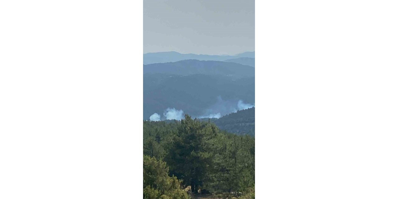 Ormanda yükselen dumanlar ekipleri harekete geçirdi