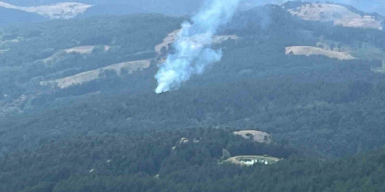 Demirci’de orman yangını