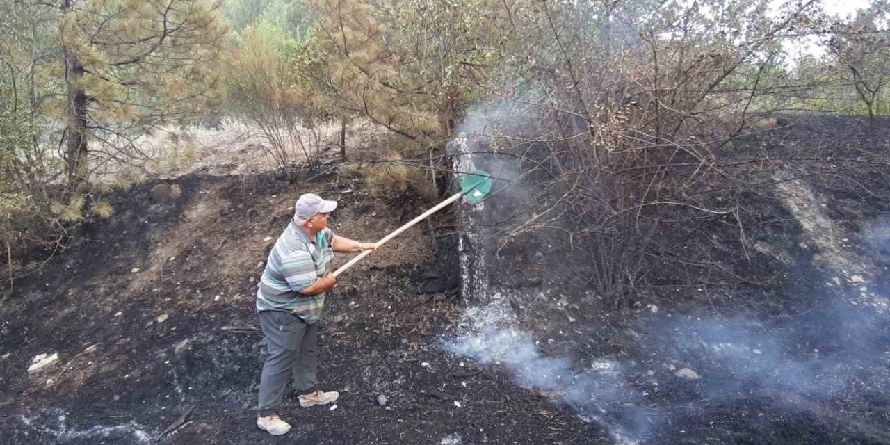Bolu’da orman yangını köylülerin de desteğiyle söndürüldü