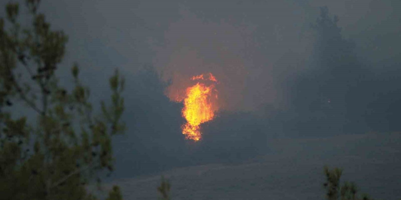 Adana’daki orman yangını devam ediyor