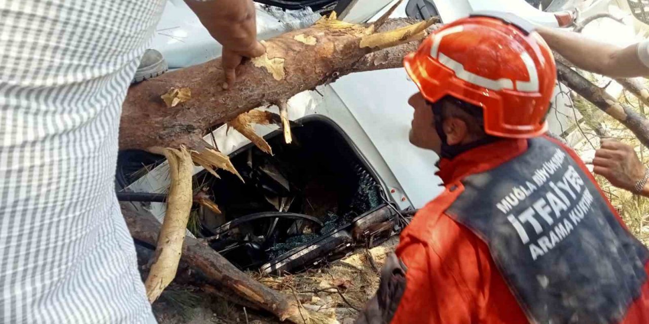 Kamyon 70 metrelik uçuruma yuvarlandı