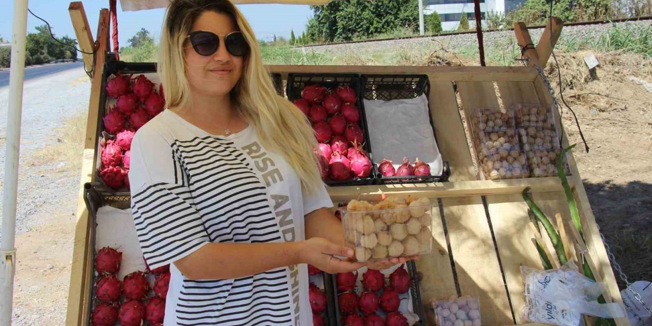 Faydaları saymakla bitmiyor, 250 gramı 50 TL’den satılıyor