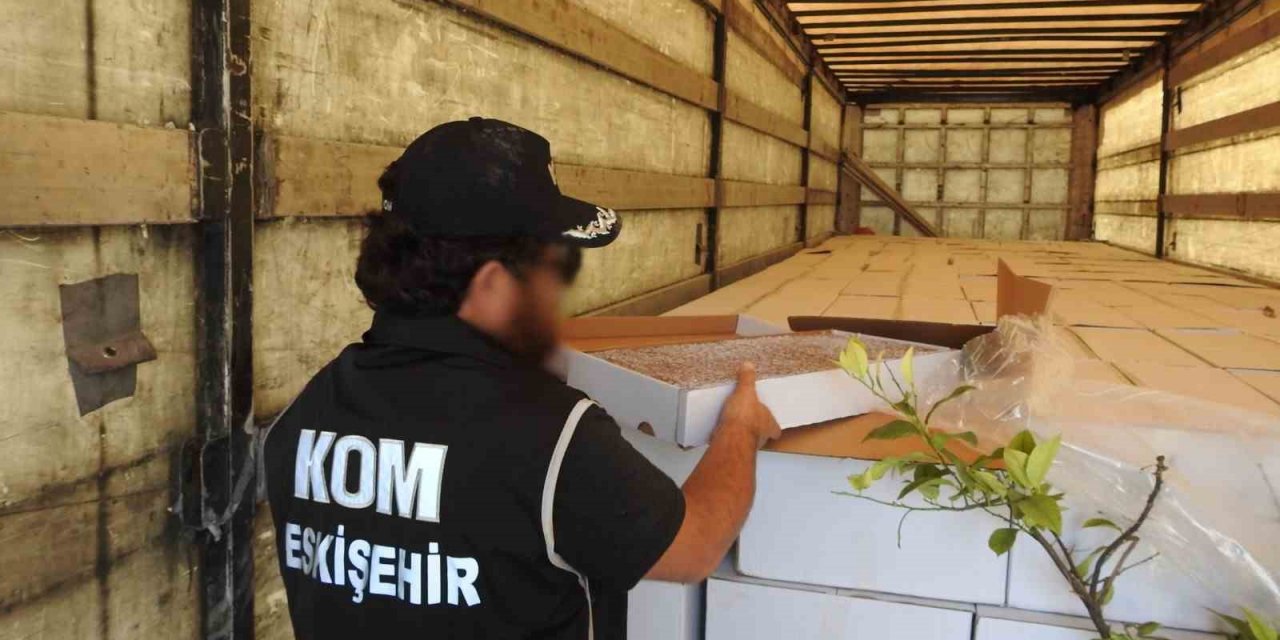 Milyonlarca dal bandrolsüz sarılmış sigara ele geçirildi