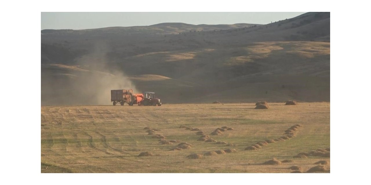 Tarım-ÜFE yıllık yüzde 62,48, aylık yüzde 8,03 arttı