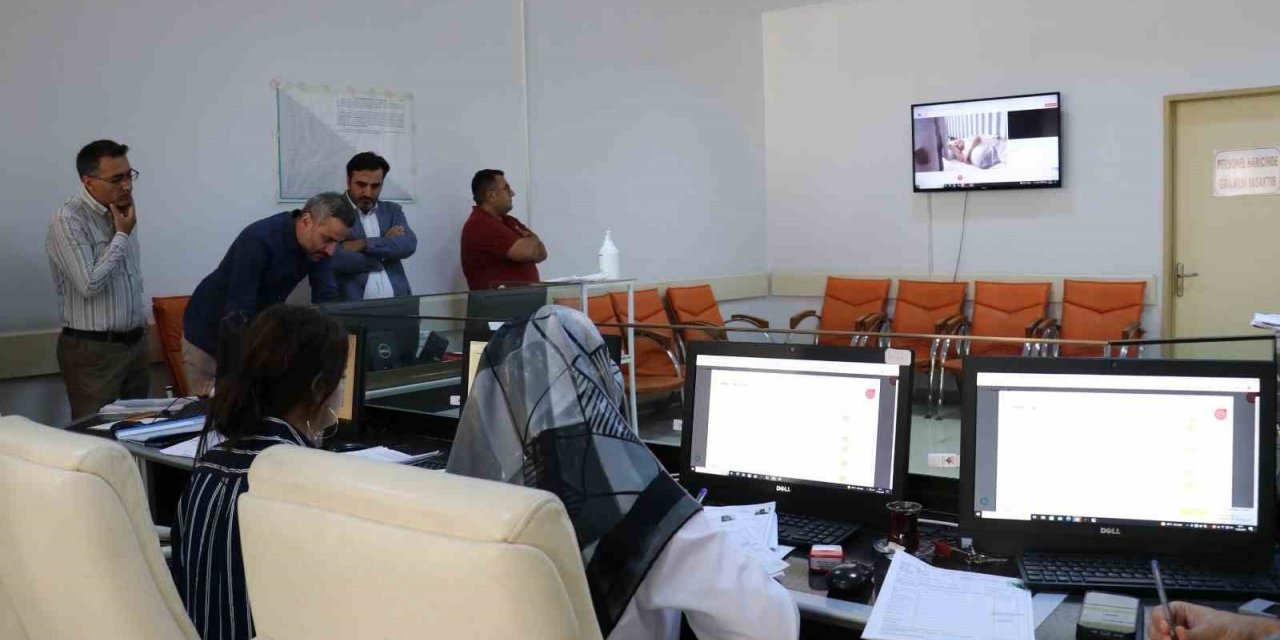 Van’da ’Çevrimiçi Sağlık Kurulu Uygulaması’ başladı