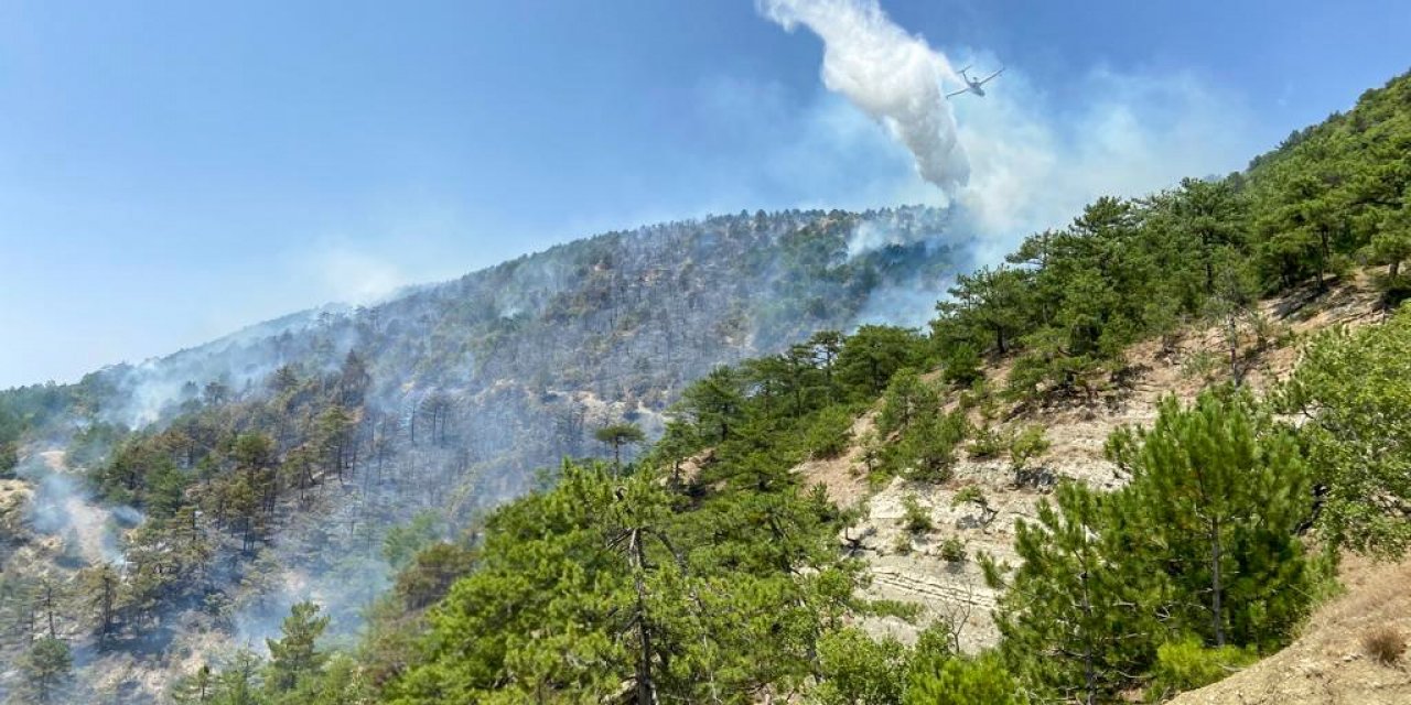 Bolu’daki orman yangına müdahale sürüyor
