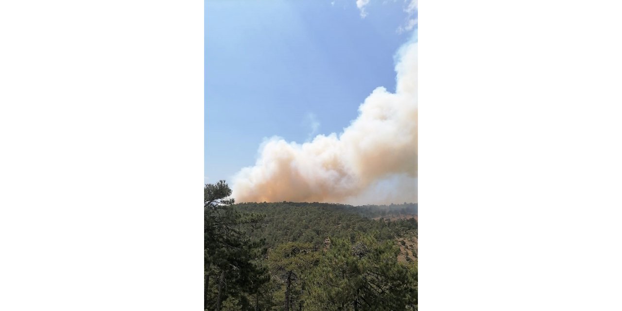 Acıpayam’da orman yangını