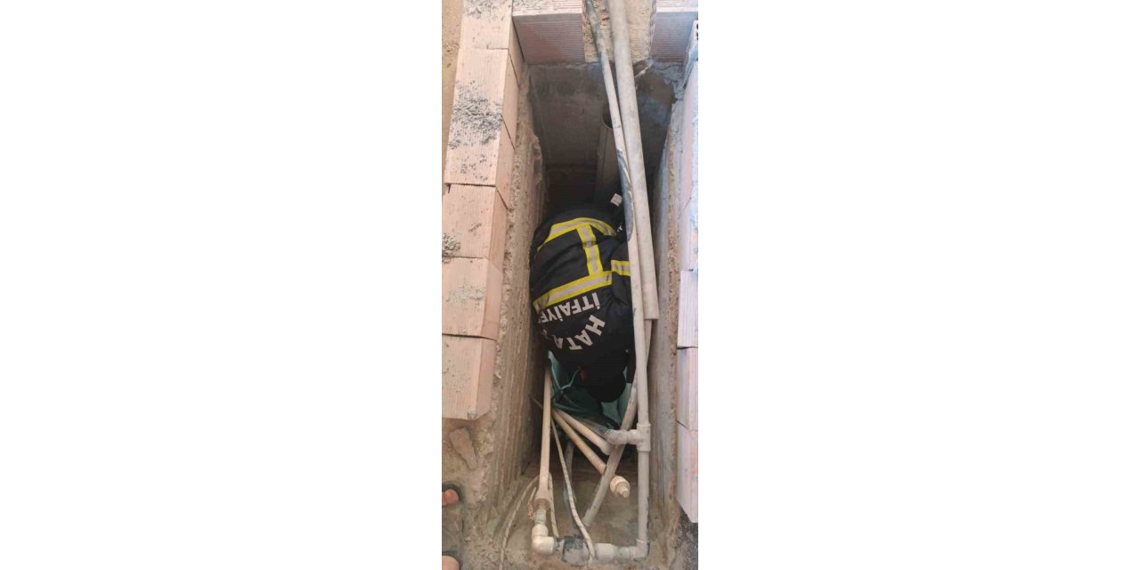 Havalandırma boşluğuna düşen yavru kedi kurtarıldı