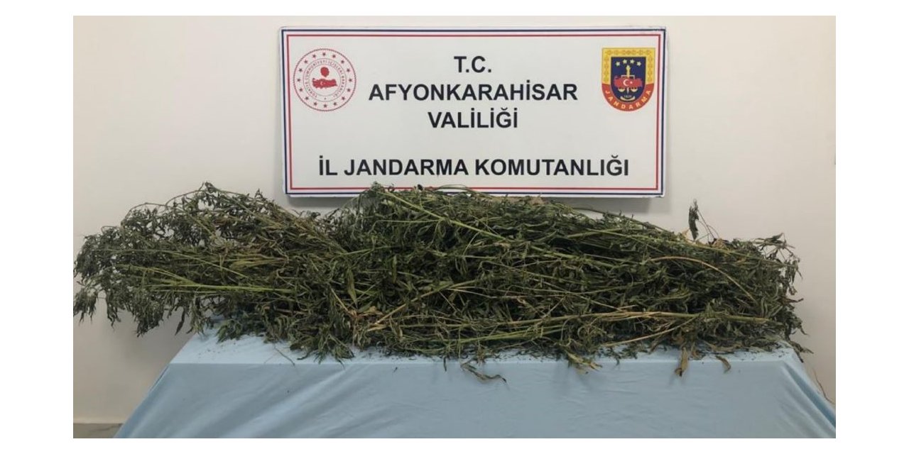 Afyonkarahisar’da esrar yakalandı