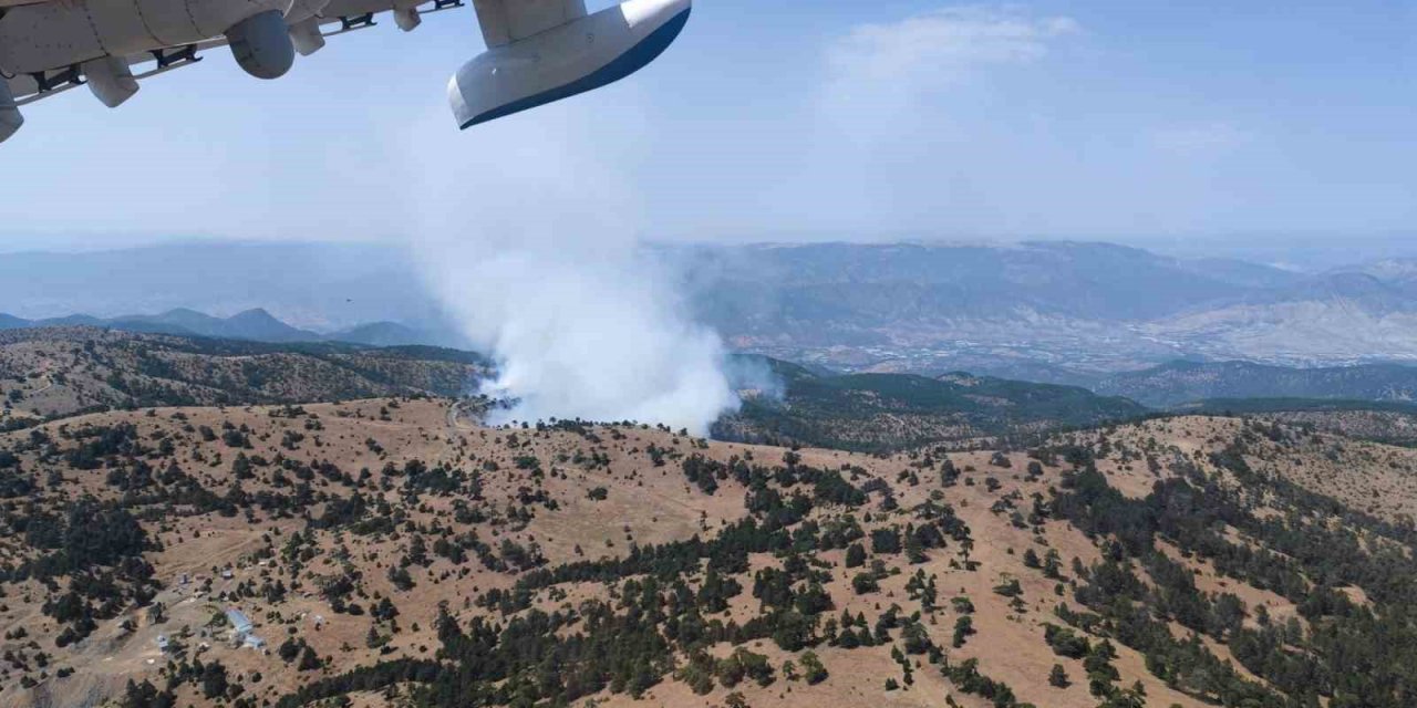 Eskişehir’de orman yangını