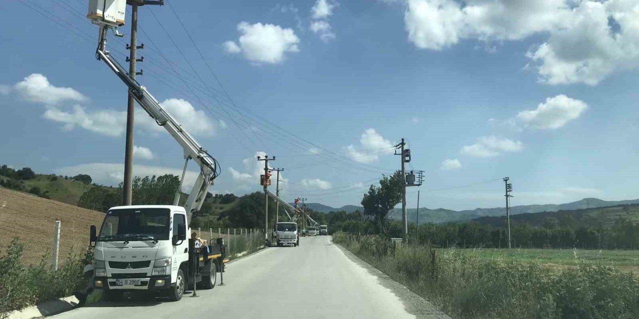 Elektrik direklerine konan leyleklerin akıma kapılmaması için seferber oldular