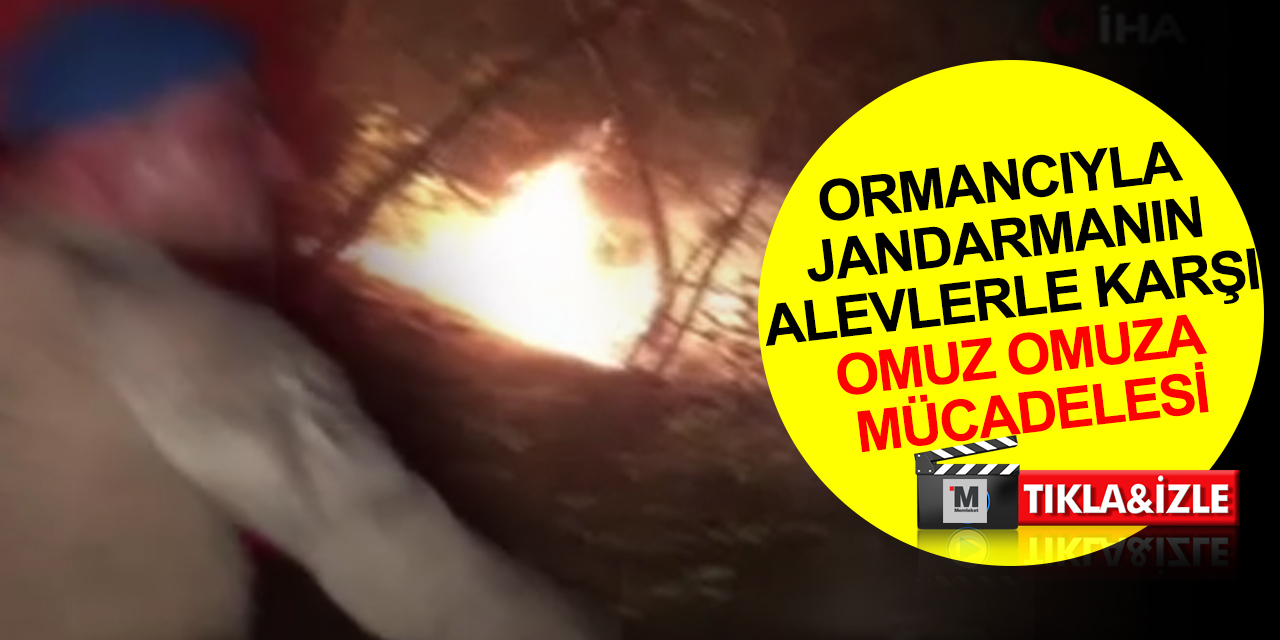 Antalya’daki orman yangınında ormancı ve jandarmanın alevlerle karşı omuz omuza mücadelesi kamerada