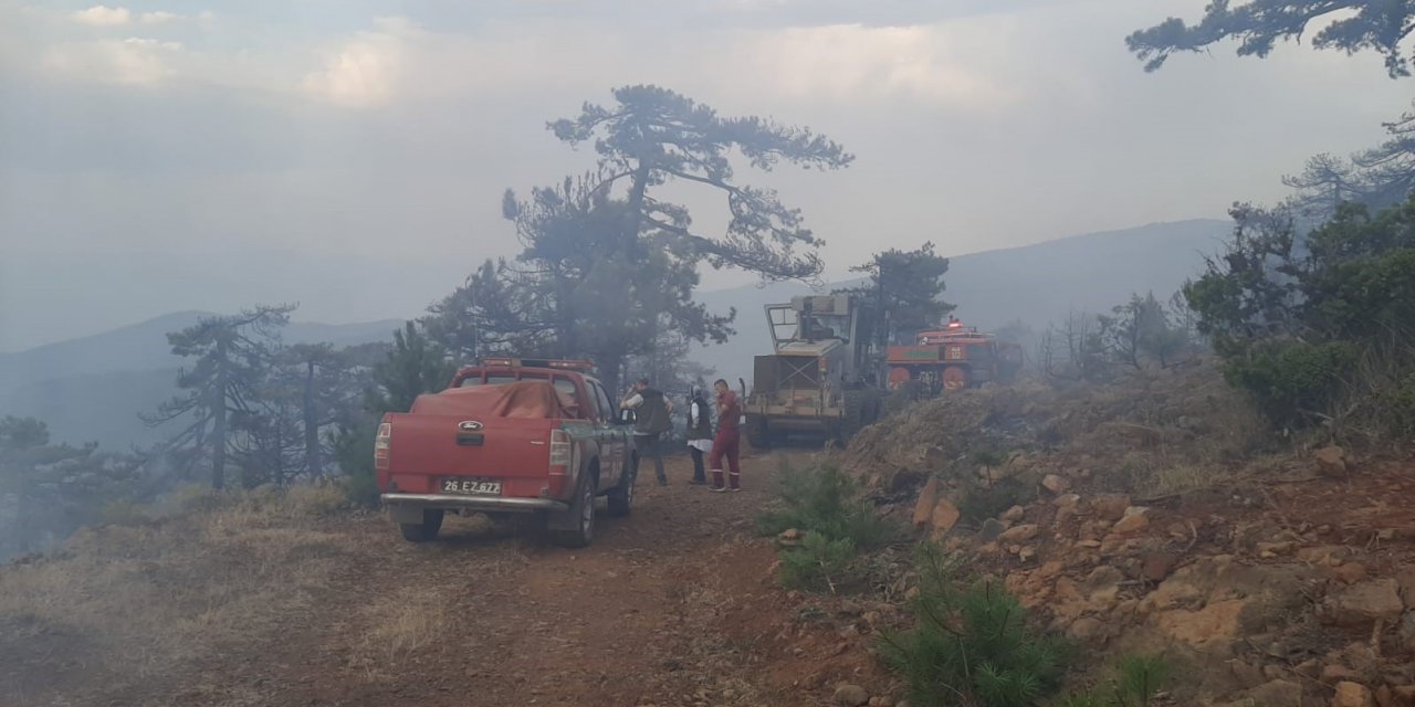 Eskişehir’de çıkan orman yangını kontrol altına alındı