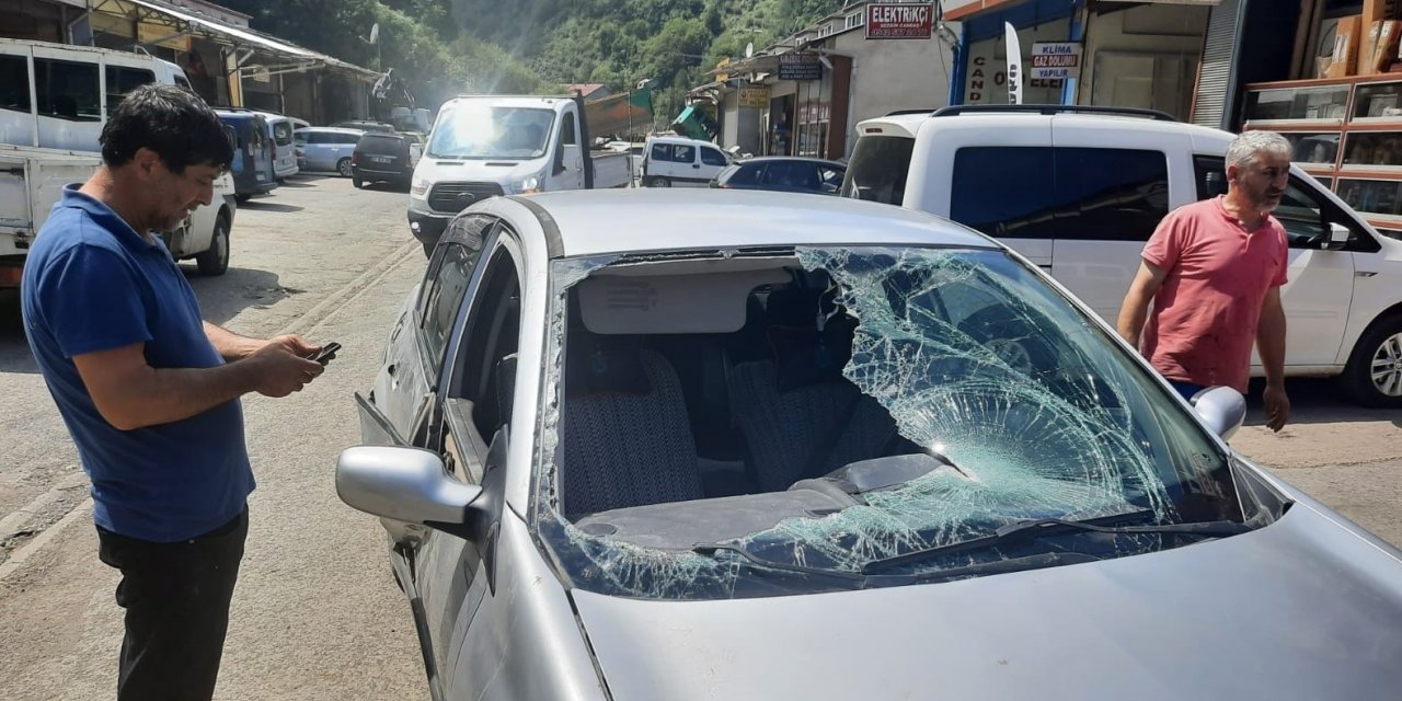 Ayılar kışın yayla evlerine, yazın da arabalara zarar veriyor