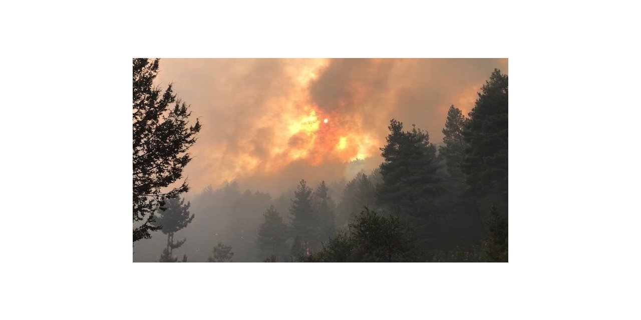 Bakan Yumaklı: "Akseki yangını kontrol altında"