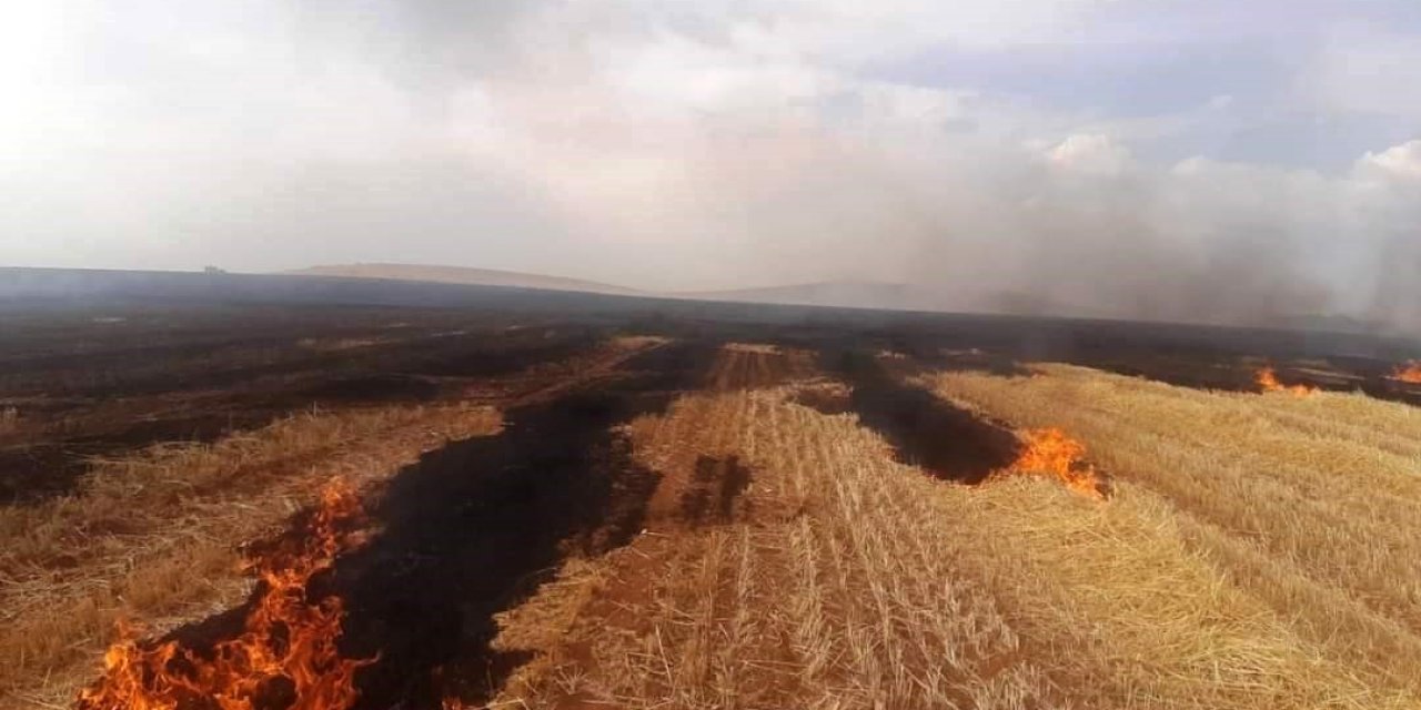 Altıntaş’ta çıkan yangında 500 dekar ekili alan zarar gördü