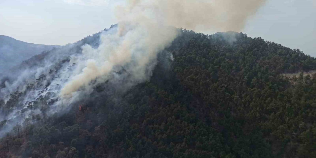 Bolu’da aynı ilçede 2 farklı orman yangını