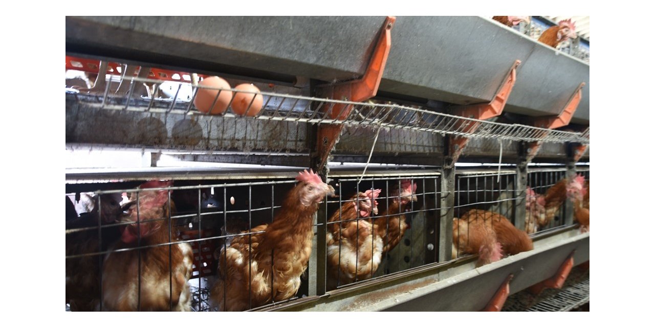 Ziraat Fakültesinden organik ürünler