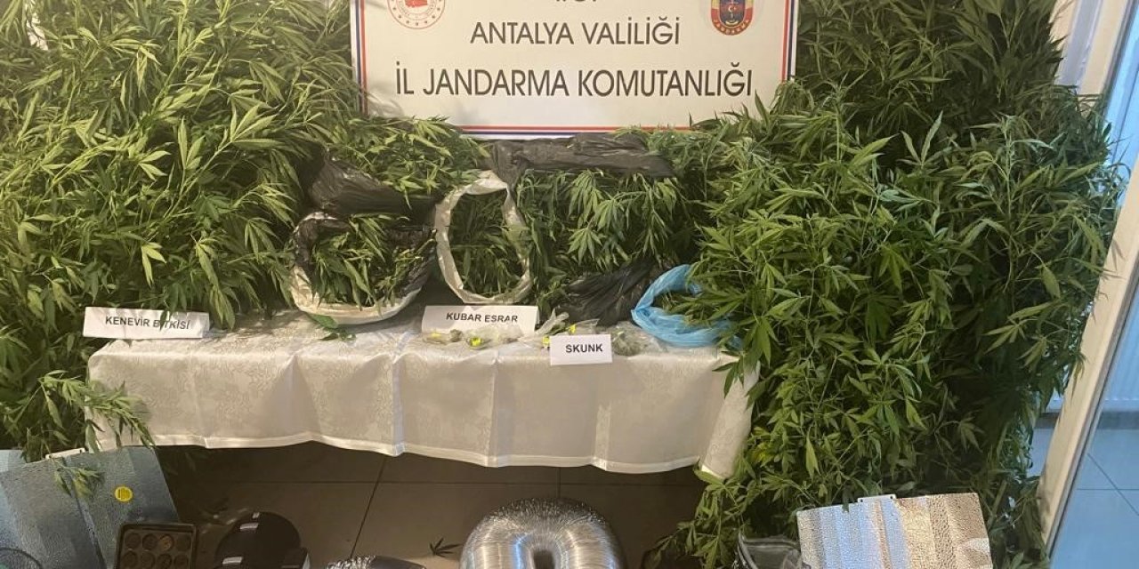 Jandarmadan uyuşturucu tacirlerine geçit yok