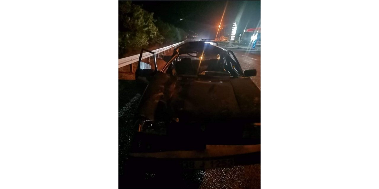 Otomobil yola fırlayan katıra çarptı: 2 yaralı