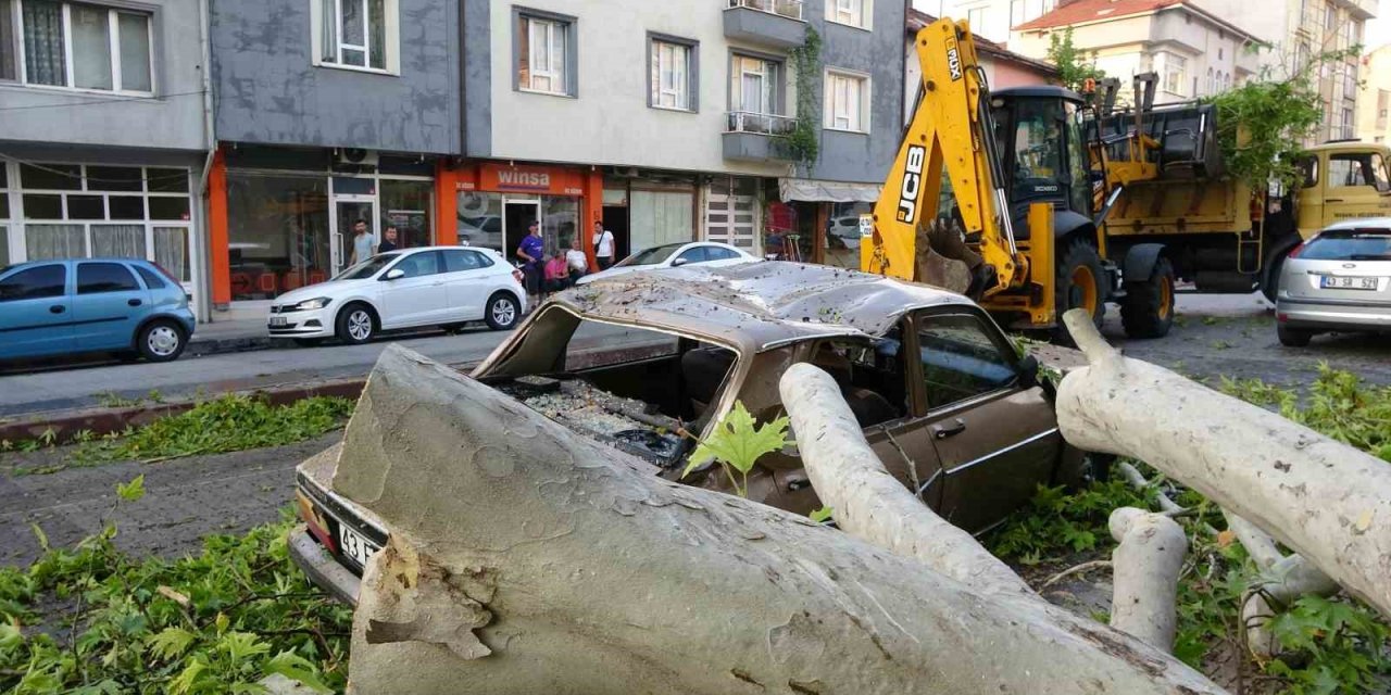 Tavşanlı’da asırlık ağacın dalı kırılarak araçların üzerine düştü