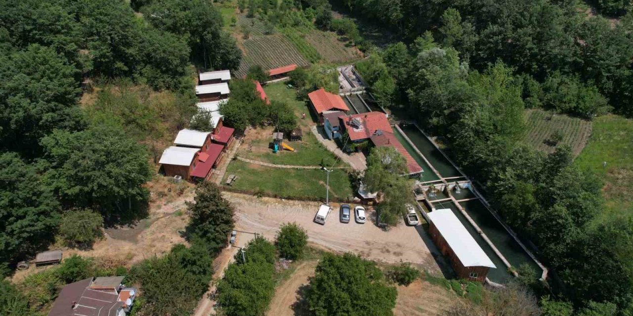 Uludağ’ın kar sularında yetiştirilen alabalık yaz aylarında rağbet görüyor