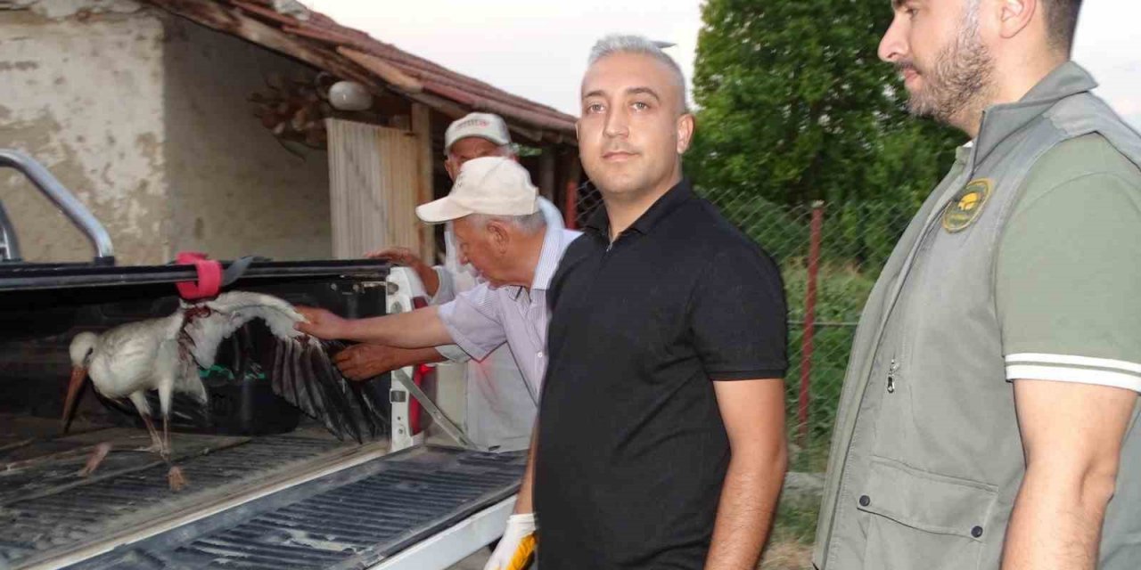 Hisarcık’ta vatandaşların bulduğu yaralı leylek tedavi altına alındı