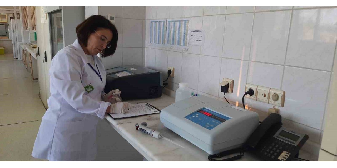 Su tüketim miktarı geçen seneye göre 25 bin ton arttı