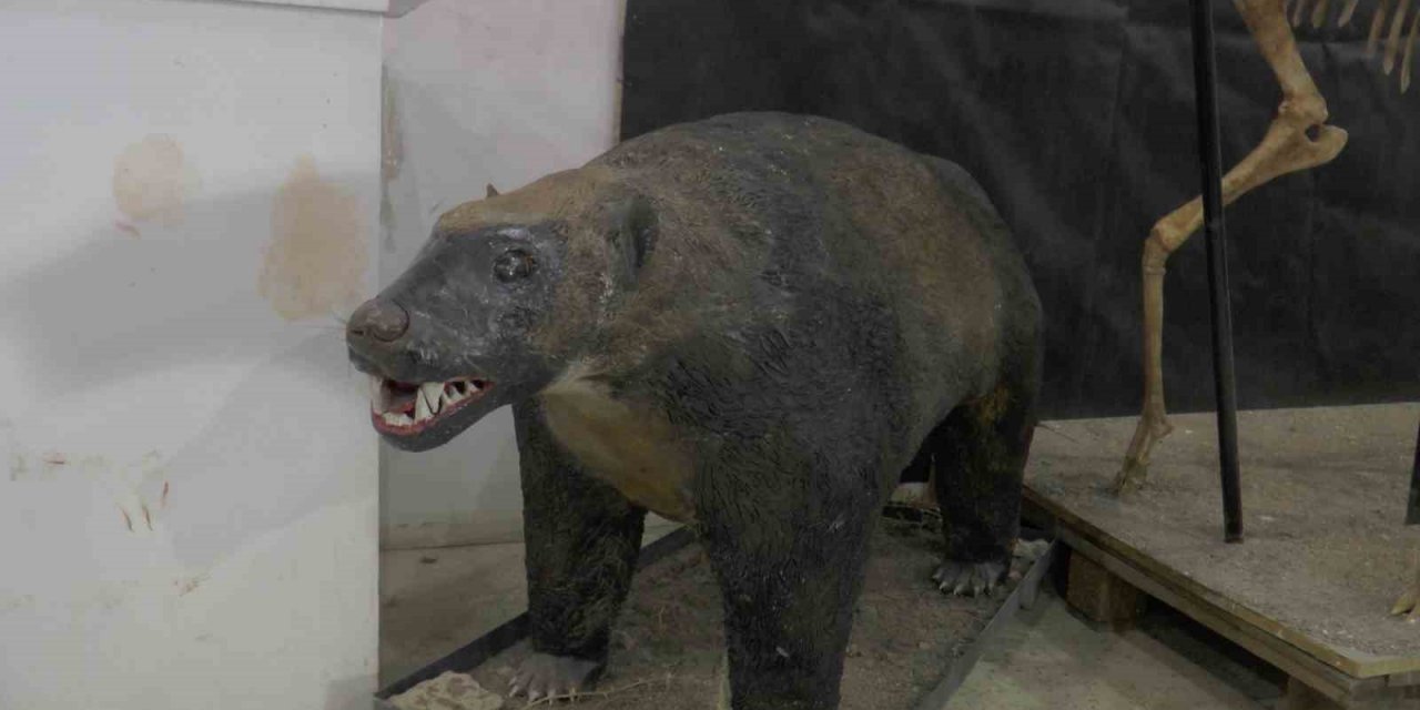 7,5 milyon yıl sonra ayaktalar