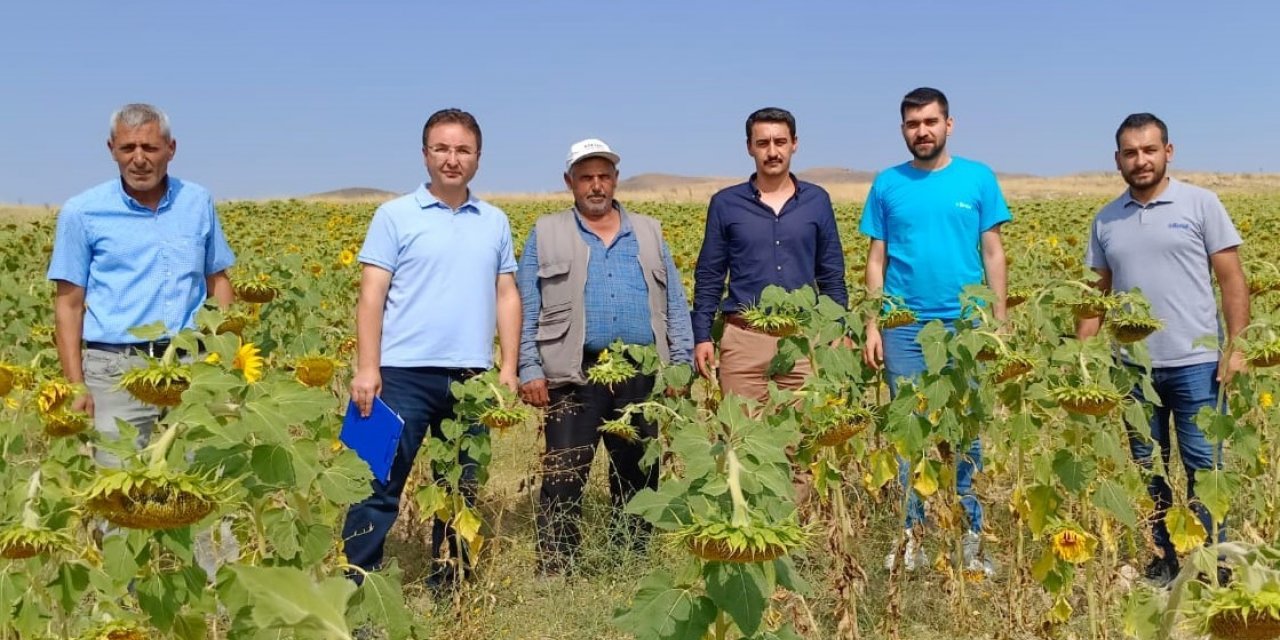 Hibe destekli tohum dağıtımı yapılan arazilerde inceleme yapıldı