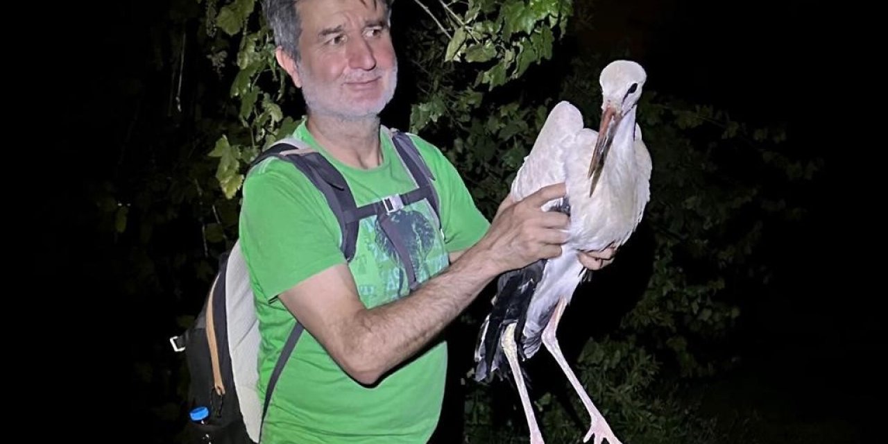 Doğa yürüyüşçüleri karşılaştıkları yaralı leyleği tedavi için ekiplere teslim etti