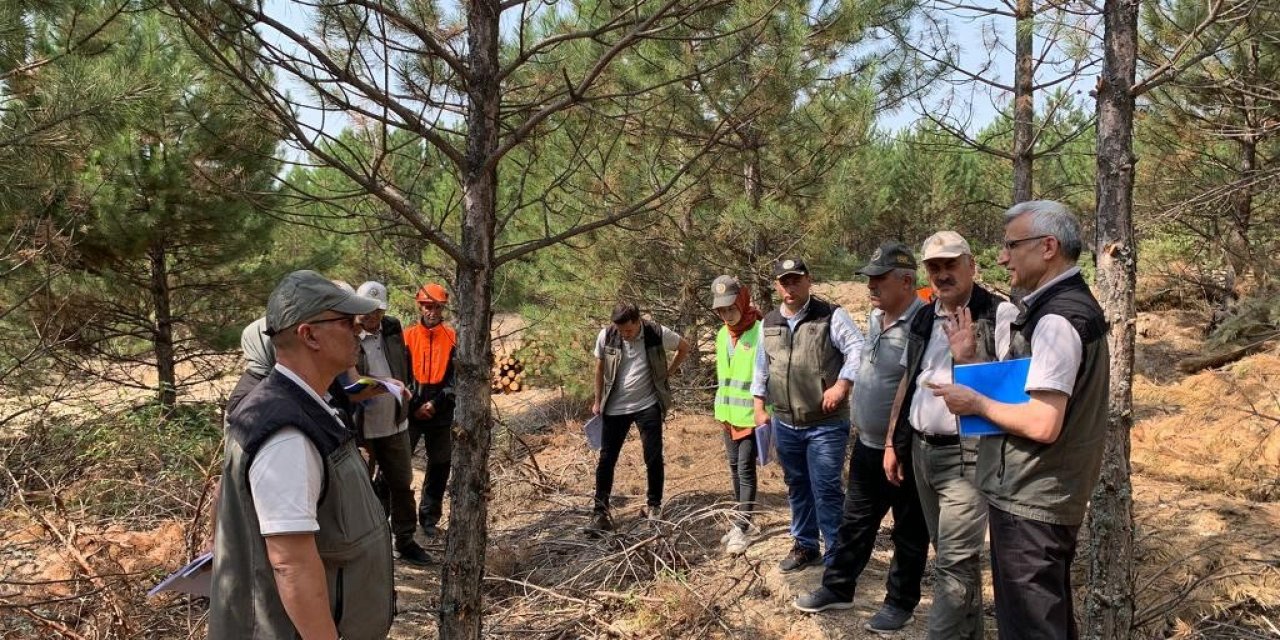 Domaniç ormanlarında tatbikat