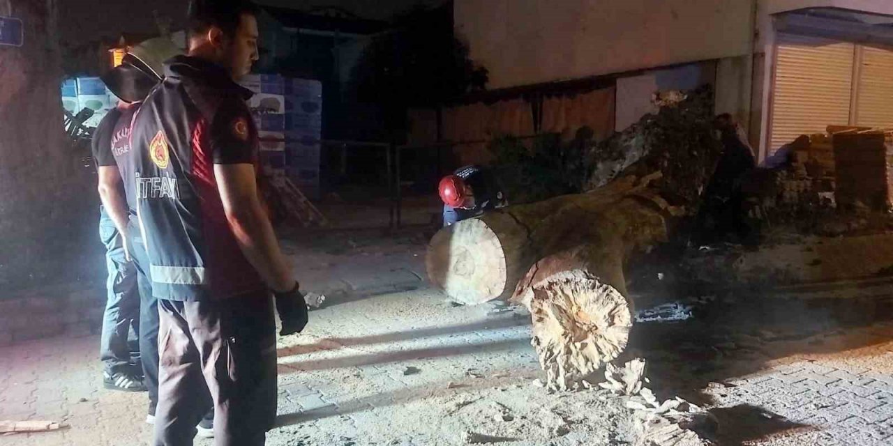 Asırlık çınar ağacı park halindeki aracın üzerine devrildi