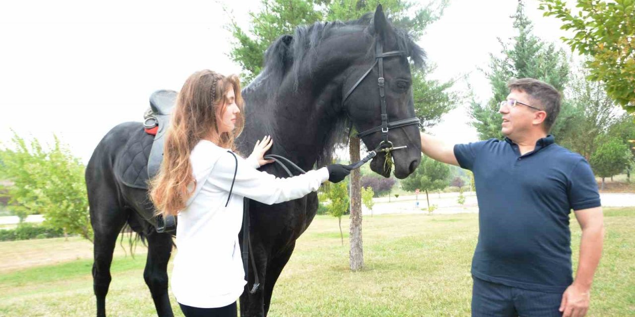 Cins atlar embriyo transferi için Balıkesir’de