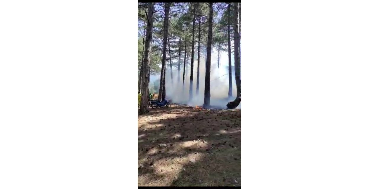 Milli parkta çıkan orman yangını büyümeden söndürüldü