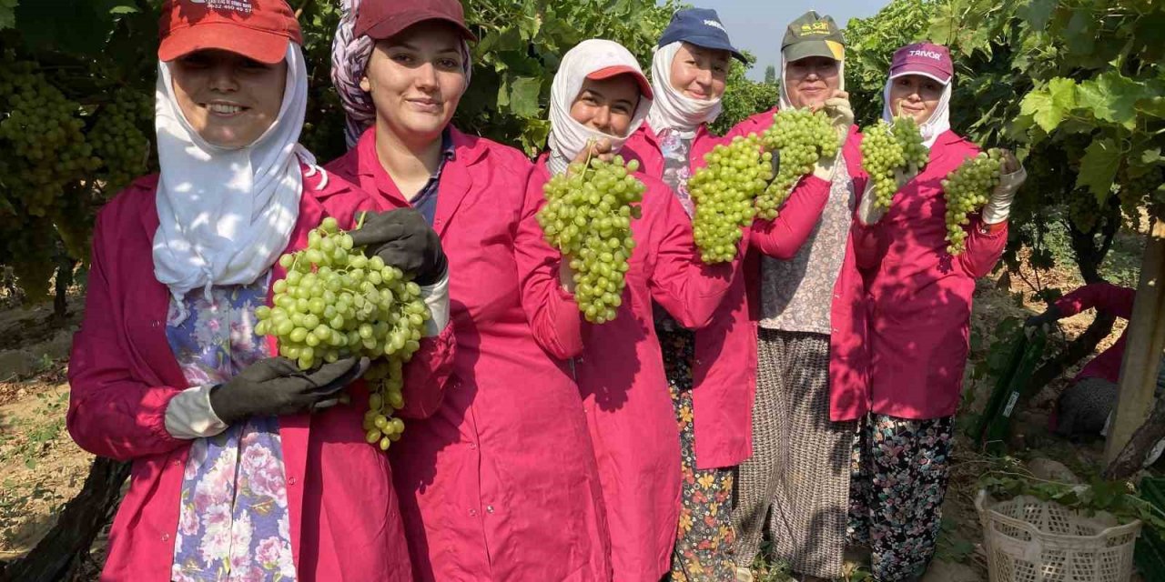 Artan Sıcaklıklar Vücut Isısını Yükseltiyor: Beslenmenizi Ona Göre Yapın