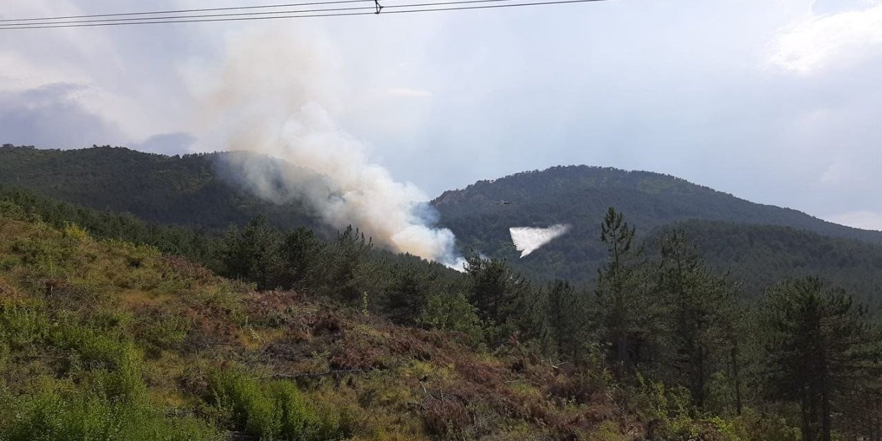 Bolu’da orman yangını başladı