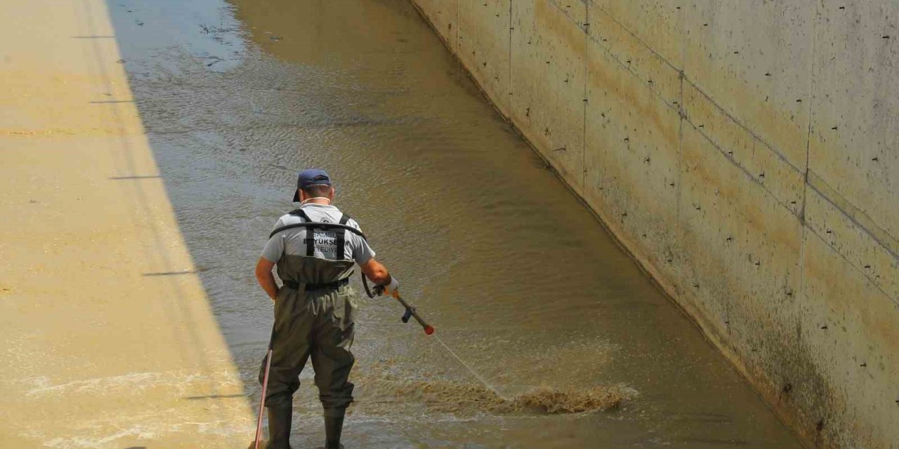 Samsun’da vektörlerle mücadele