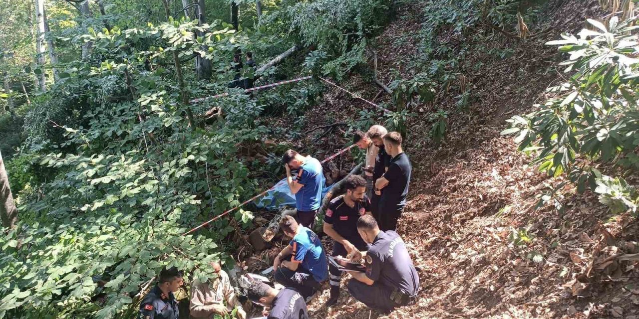 Üzerine ağaç devrilen adam hayatını kaybetti