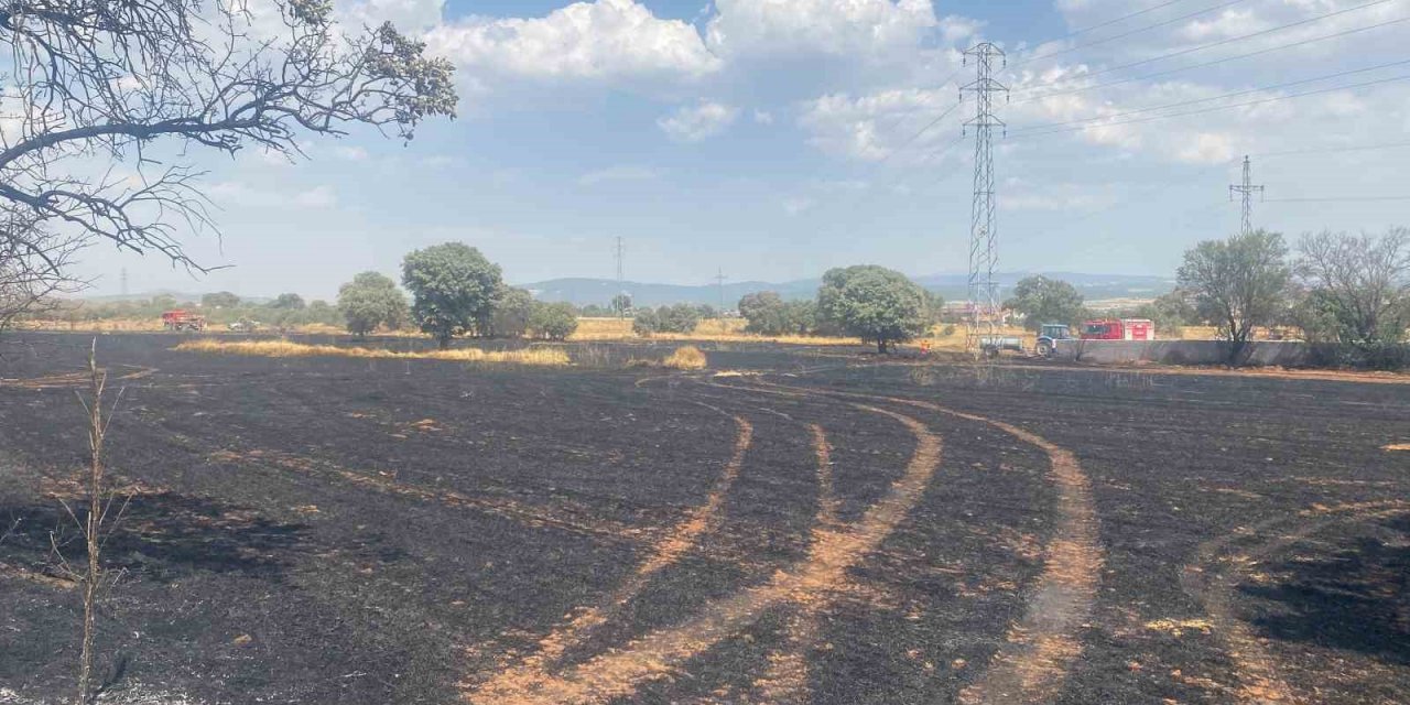 Uşak’ta 100 dönüm buğday ekili alan kül oldu