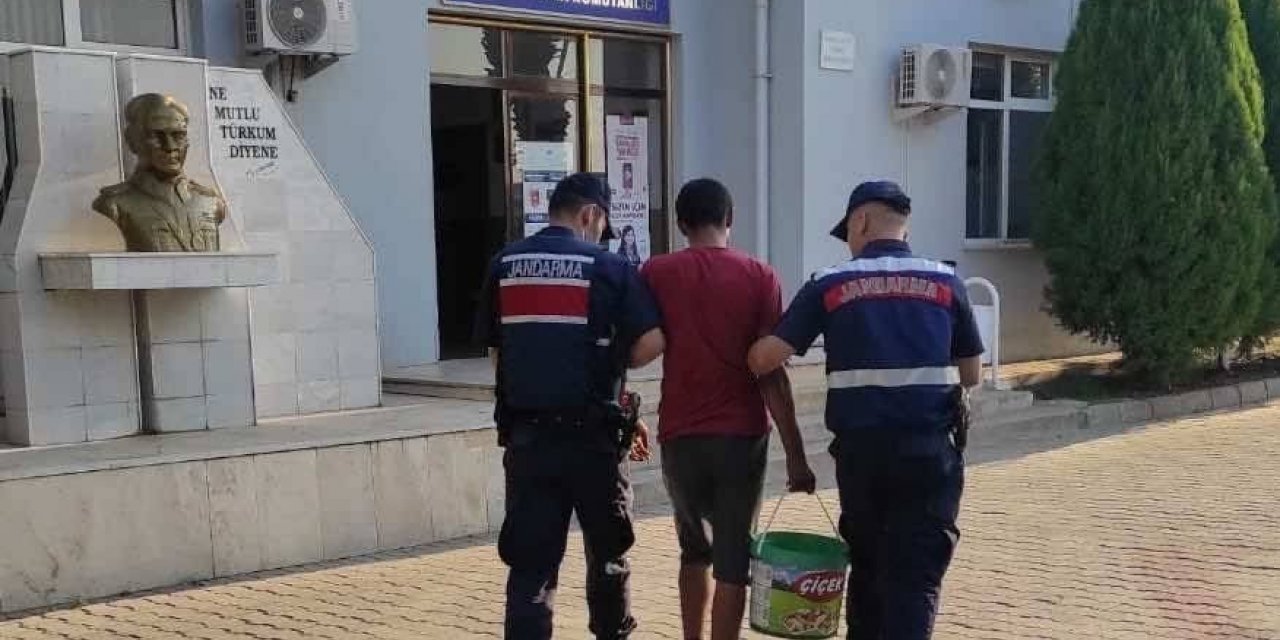 İncir hırsızını Jandarma yakaladı