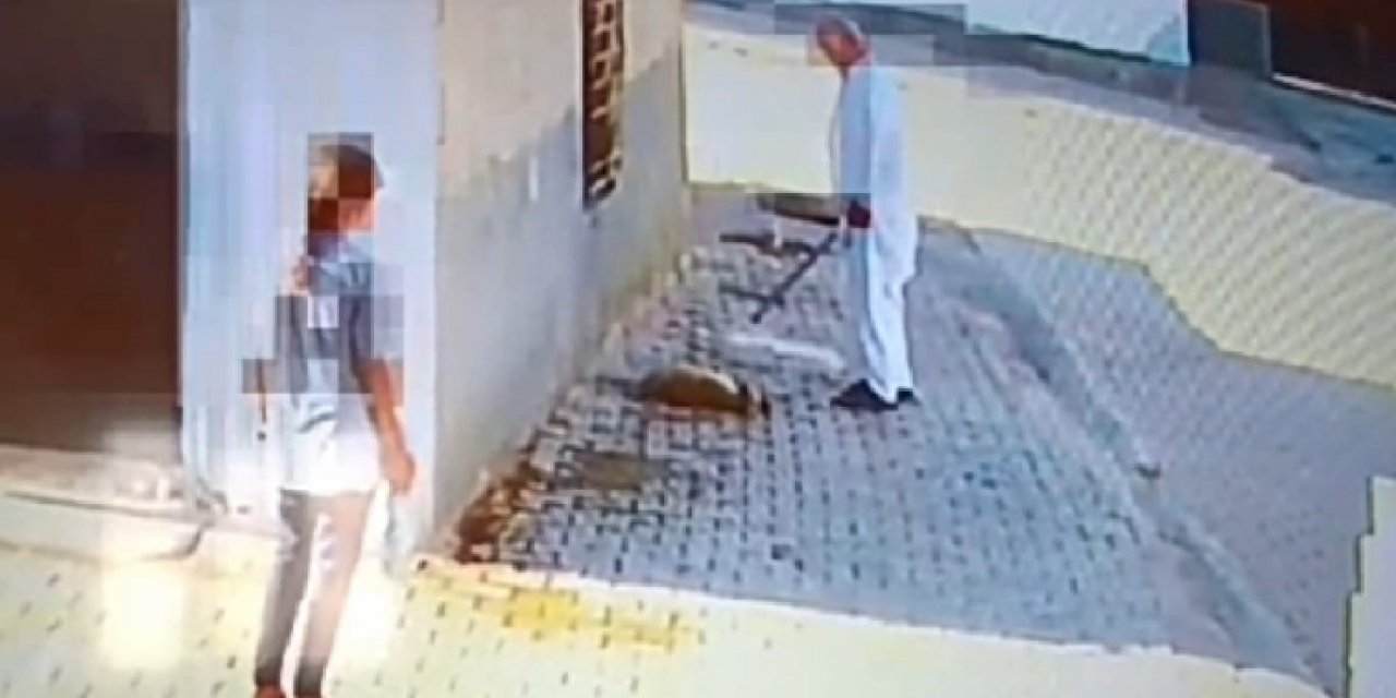 Bastonuyla köpeği öldüren şahıs gözaltına alındı