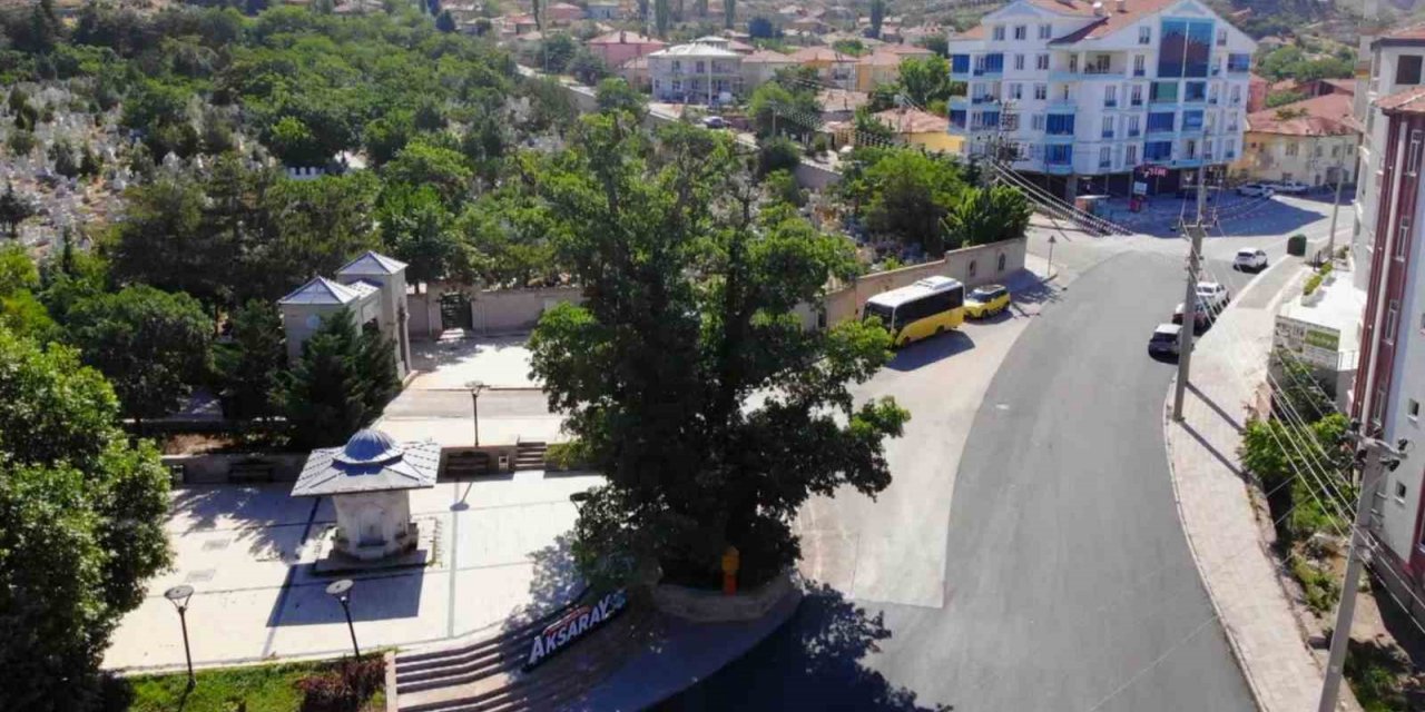 Aksaray’daki 700 yıllık ‘Kanlı Pelit’ kanlı Moğol baskınının tek canlı şahidi